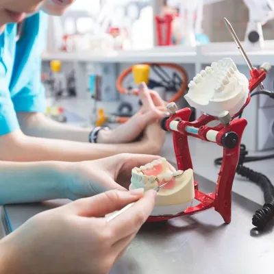 Women in a prosthodontic lab, learning prosthetic dentistry. Focus on hands. Unrecognizable person.